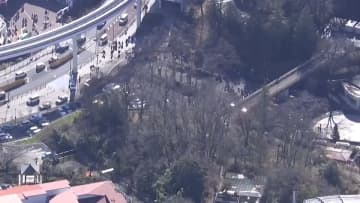 多摩動物公園で脱走したオオカミ、園内で捕獲　麻酔銃と網を使い　東京・日野市