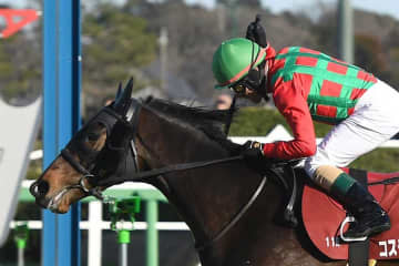 「買えん」　有馬記念で衝撃…12番人気伏兵が激走「ミュージアムマイル軸にしても入れてない」