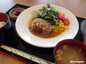 【佐賀・白石町】バイクツーリングで寄りたい道の駅しろいし｜名物レンコン飯と展望デッキ