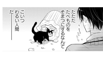 【猫視点】食べ物につられて来ちゃったけど、この人間、なにも食べない!? なんで!?【同居人はひざ、時々、頭のうえ。 #８】