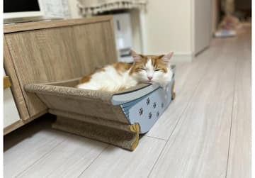 【オーサムストア猫グッズ】「バスタブ型」の爪とぎがかわいすぎる～！ねこのリラックス空間に最高なんです！