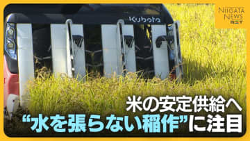 米価に翻弄された2025年…米の安定供給へ“水を張らない稲作”に注目！作業コスト削減のメリットの一方で課題も