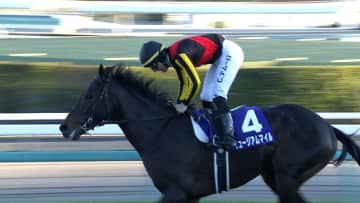 【第70回 有馬記念・GⅠ】古馬撃破！3歳ミュージアムマイルがグランプリ制す　C.デムーロ騎手は7度目の挑戦で悲願達成！