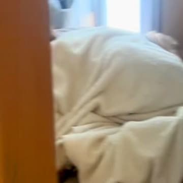 朝、大型犬と男の子があまりにも静かなので探してみた結果→想定外だった『まさかの状況』が78万再生「怒れないｗｗ」「幸せすぎる…」