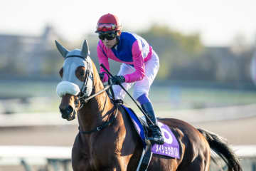 【有馬記念】「これが武豊クオリティ」武豊騎手のブレないジョッキーカメラ映像に反響