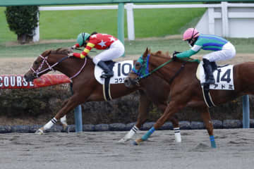 小林美駒騎手がキャリアハイの37勝をマーク…女性ジョッキー結果