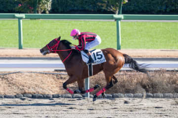 【新馬/中山5R】断然人気クラウトロックが8馬身差圧勝