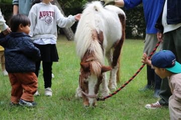 午年にちなみ「ポニーふれあい」初実施、海の中道海浜公園が春イベント実施