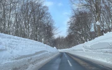 【日下部保雄の悠悠閑閑】2025年の振り返り