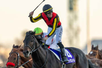 【有馬記念レース回顧】若き皐月賞馬ミュージアムマイルが頂点へ…レガレイラは連覇ならず、武豊メイショウタバルは試練の一戦に