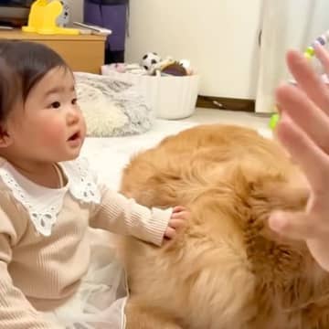 0歳の赤ちゃんに『バイバイ』を教えていたら、犬たちが『お別れ』と勘違いして…態度が豹変する光景が45万再生「愛強すぎｗ」「感受性すごい」