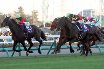 有馬記念で目撃され感涙「胸に来るよ」　尻尾に気づいた競馬ファン「夢見させてもった」