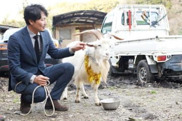 「拾得物」のヤギ世話で感謝状　飼い主名乗り出ず3カ月　迷子の「まーちゃん」と名付け、宇佐美さん宅に“仲間入り”　大多喜
