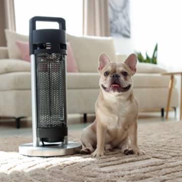 犬を留守番させるときにやってはいけない『防寒対策』3つ　安全に過ごすためにすべきことまで