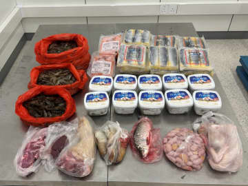 マカオ税関が運び屋による密輸事案を直近5日間で5件摘発…未検疫食材や大量の腕時計用ムーブメント発見