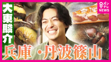 「和栗の王様」丹波栗と“ぼたん鍋発祥”1609年創業の料理旅館で大東さん感動「辛いとき食べたら泣いてまう」　“食の宝庫”兵庫・丹波篠山市を堪能【大東駿介の発見！てくてく学】