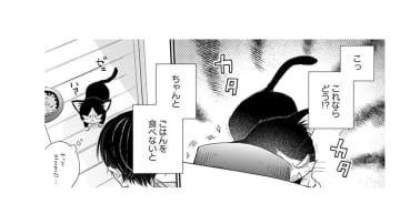 【猫視点】ごはんを食べないと動けなくなる！ お皿ごと運んで来た時、人間が倒れて!?【同居人はひざ、時々、頭のうえ。 #９】