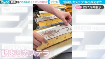 「訳ありカステラが出来るまで…」断面に登場する“訳あり”が、SNSで250万件表示！「可愛い遊び心」「丁寧に作られている様子が伝わってくる」