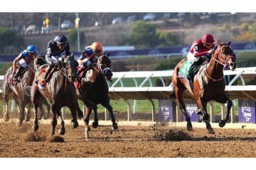 「マジか！」　ダート世界最強馬、来年末の夢プランに衝撃「やばいなこれ」「応援する」矢作師明かす