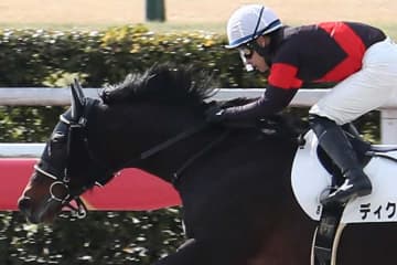 東京大賞典の結末にネット衝撃「大荒れ…」「明日も賭けよう」　単勝1.4倍差して20年ぶり快挙