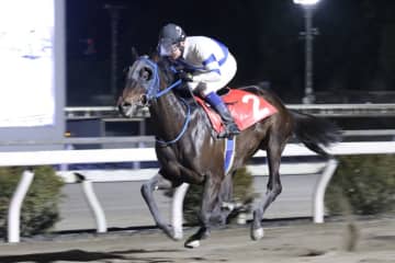 【高知・満天星特別】新馬戦以来の勝利、バリジグリーが準重賞で惜敗続きに終止符