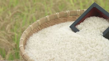 【独自分析】高値が続くコメ。“コメか、コメ以外か。”　2025年、日本人の主食は「コメ」から「パン、麺類」などに代わったのか？