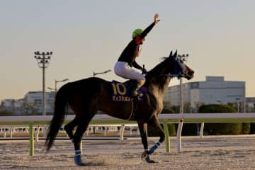 【東京大賞典】矢野「心臓がバクバクして、頭の整理が追いついてないです」大井所属ディクテオンが大金星