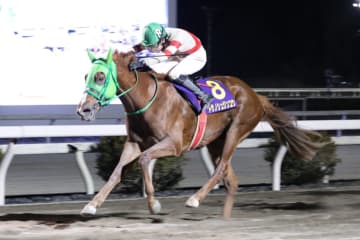 【高知・金の鞍賞】トサノシュジンコウが惜敗続きに終止符