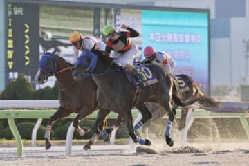 【東京大賞典】大井所属ディクテオンが大接戦を制する…ミッキーファイトは2着