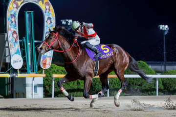 【佐賀・中島記念】アウトドライブ前走の悔しさ晴らす勝利…飛田愛斗「本当に根性のある馬」