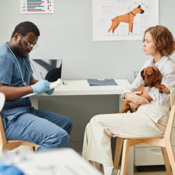 犬も『うつ病』になるの？絶対見逃したくない初期症状や病院に連れて行くべきサインまで