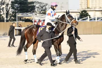 【東京大賞典】松山「上位2頭強かった」アウトレンジは地力見せて3着