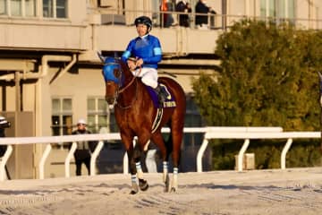 【東京大賞典】戸崎「最後は反応し切れなかったです」2番人気ナルカミはまさかの6着