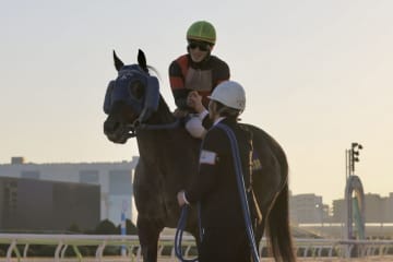 【東京大賞典】荒山師「ドバイに向かうことになるんじゃないかなと思います」ディクテオンがG1初制覇