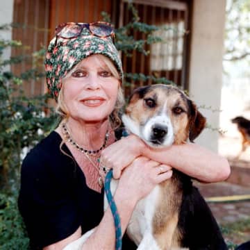 『素直な悪女』ブリジット・バルドーが死去、享年91歳