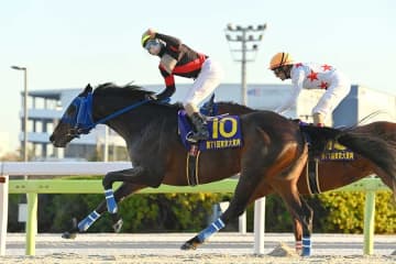 「美しすぎた！」　1.4倍が敗戦、荒れたラストG1後に現れた女性モデルに騒然「外れたけど…」