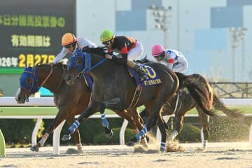 東京大賞典直後…競馬ファンから漏れた“合言葉”　「負けてしまったが…」早速年明け見据える