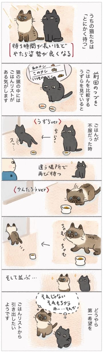 当たりが出るまで“待つ猫”　無言の圧で第一希望ごはんを要求！【連載】ねこ連れ草 348話め