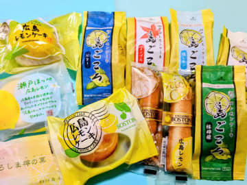 広島駅でゲットできる「広島レモンケーキ」11種類の食べ比べ&個性のチャート作ってみた!