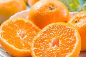 みかんの白い筋は取らなくていい？りんごの蜜の正体と、シャンパンの泡が分かる食の豆知識3選