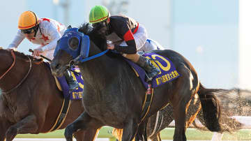 【東京大賞典回顧】大井所属のディクテオンが大金星　矢野貴之騎手「馬の力を信じて必死に追いました」