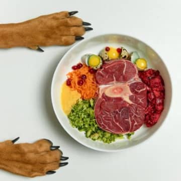 犬に『人間の食べ物を与えてはいけない』理由５選　食べてしまったときの健康被害や危険な症状まで