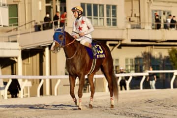 【東京大賞典】ルメール「勝った馬が強すぎました」レース後ジョッキーコメント