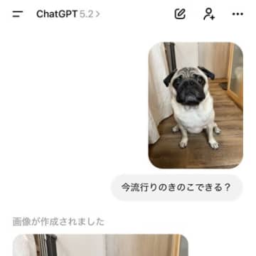 ChatGPTに『今流行りのきのこできる？』と犬の写真を送った結果→完全に想定外だった結末が250万表示「うちも酷いことにｗ」共感の声も