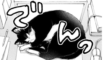 猫と同居しはじめたミステリー作家の青年。パソコンの上を陣取られてエサで釣る作戦を考えるが…【同居人はひざ、時々、頭のうえ。 #11】