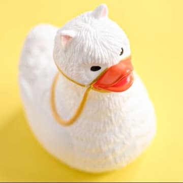 独特の顔に惚れる！コレクションしたくなるかわいさ