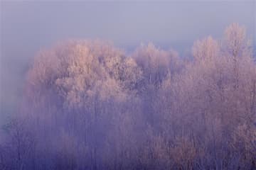 「日本一寒いまち」はどこ？ 最低気温だけではみえない寒さとは 陸別町では寒さを逆手に“震えるイベント”も