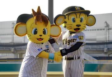 阪神、コラッキーの背番号が『2025』に決定