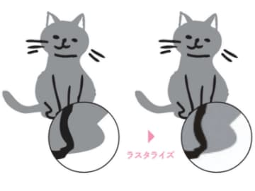 ウェブと印刷では画像の解像度を変える！ 初心者デザイナー必見の画像基本知識【瞬解！ デザイン用語図鑑】