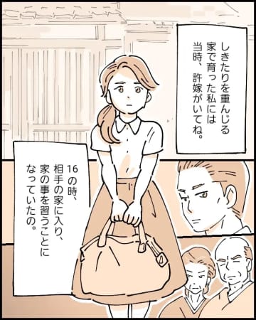 今までどんな躾をされてきたんだと両親までけなす許嫁の母にみっともないと罵られる【彼親のせいで婚約破棄２】